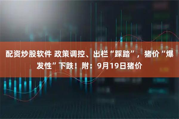 配资炒股软件 政策调控、出栏“踩踏”，猪价“爆发性”下跌！附：9月19日猪价